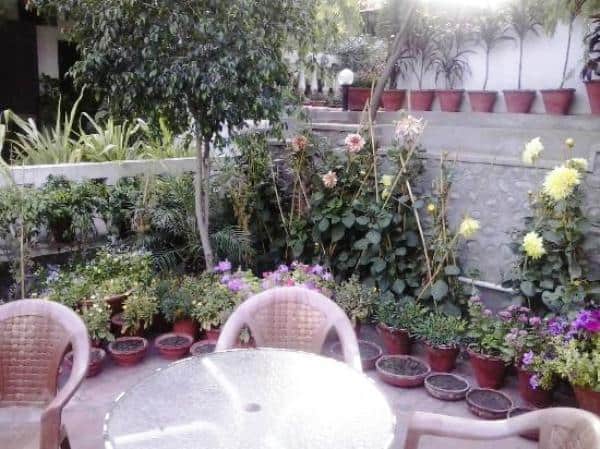 Siswan Jungle Lodge (6 Kms from Baddi), Chandigarh 4